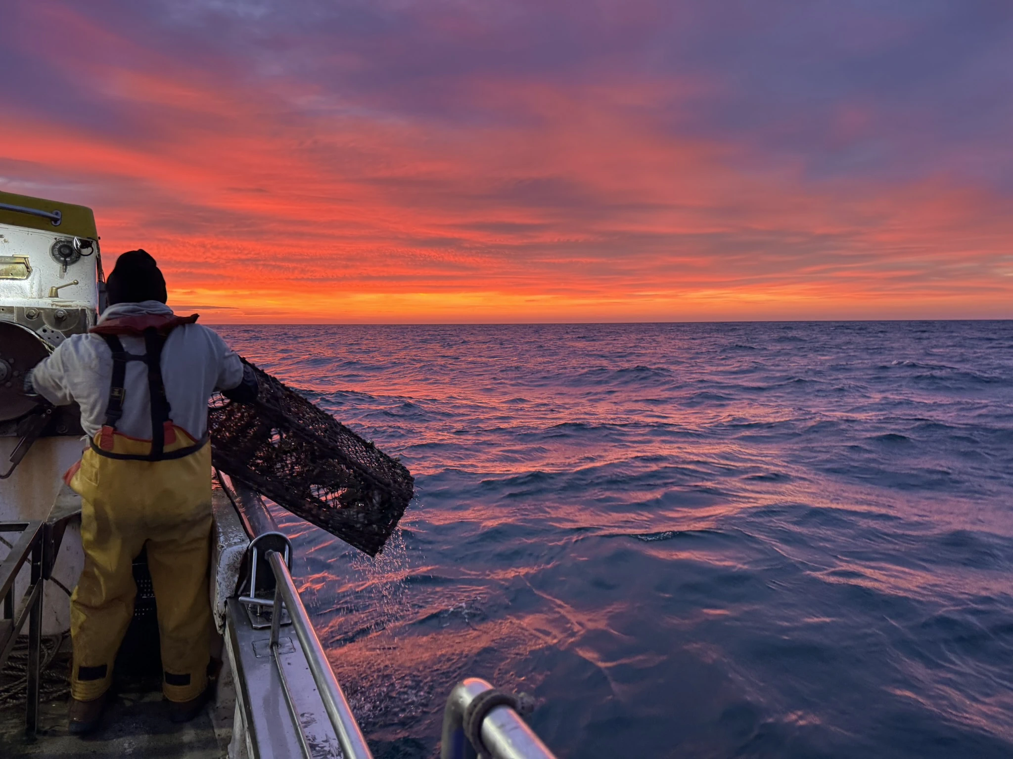 Fisher putting lobster pot down from vessel with stunning sunset over the sea.